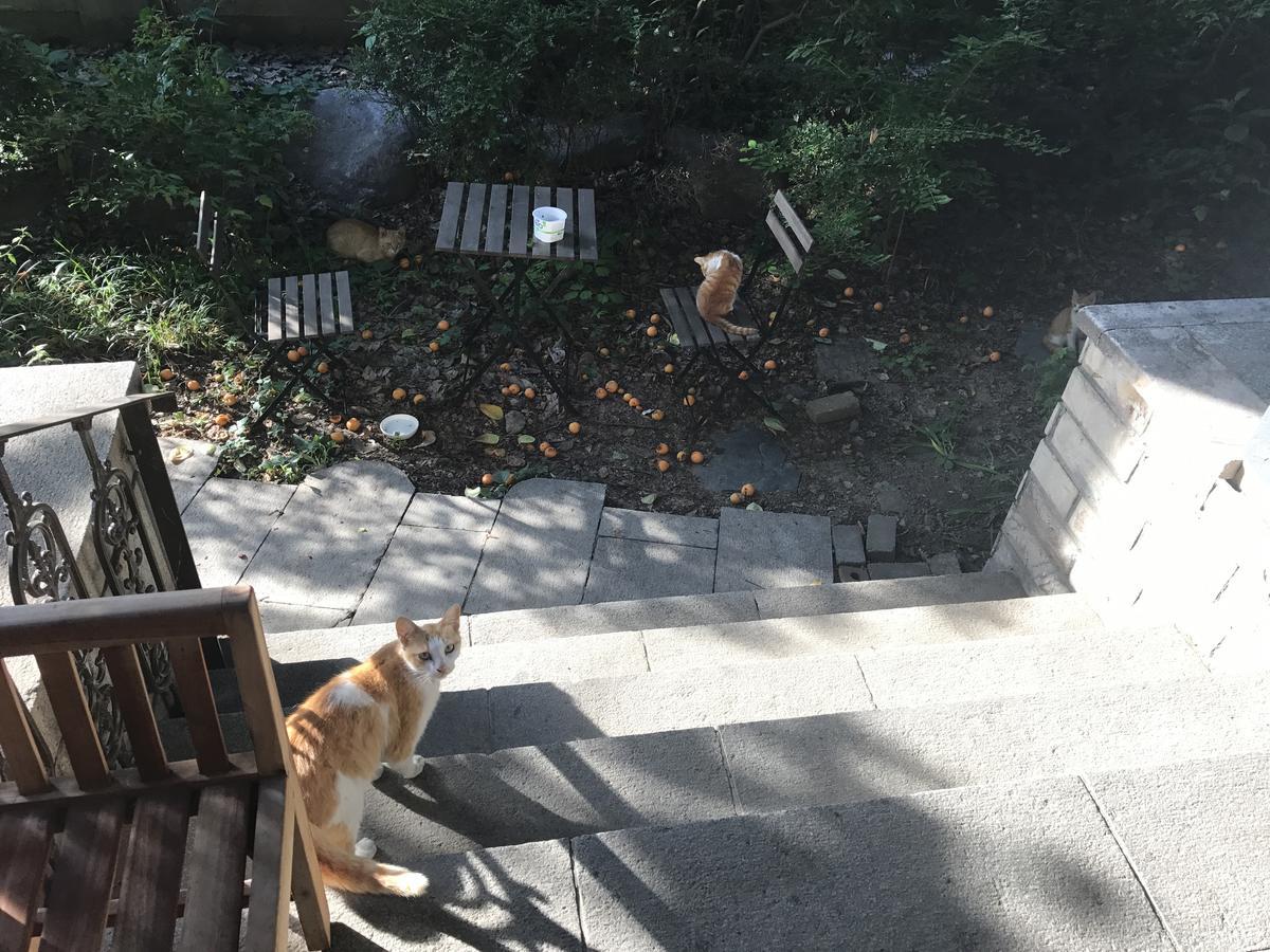 Naru Guesthouse โซล ภายนอก รูปภาพ