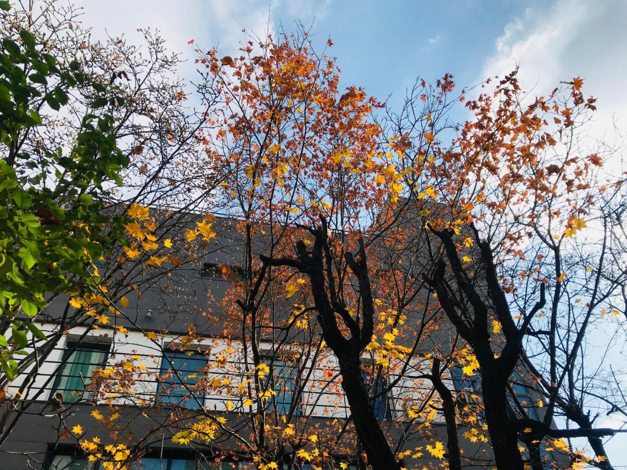 Naru Guesthouse โซล ภายนอก รูปภาพ