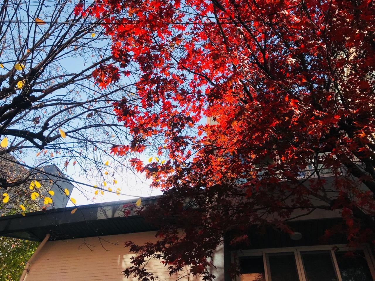 Naru Guesthouse โซล ภายนอก รูปภาพ