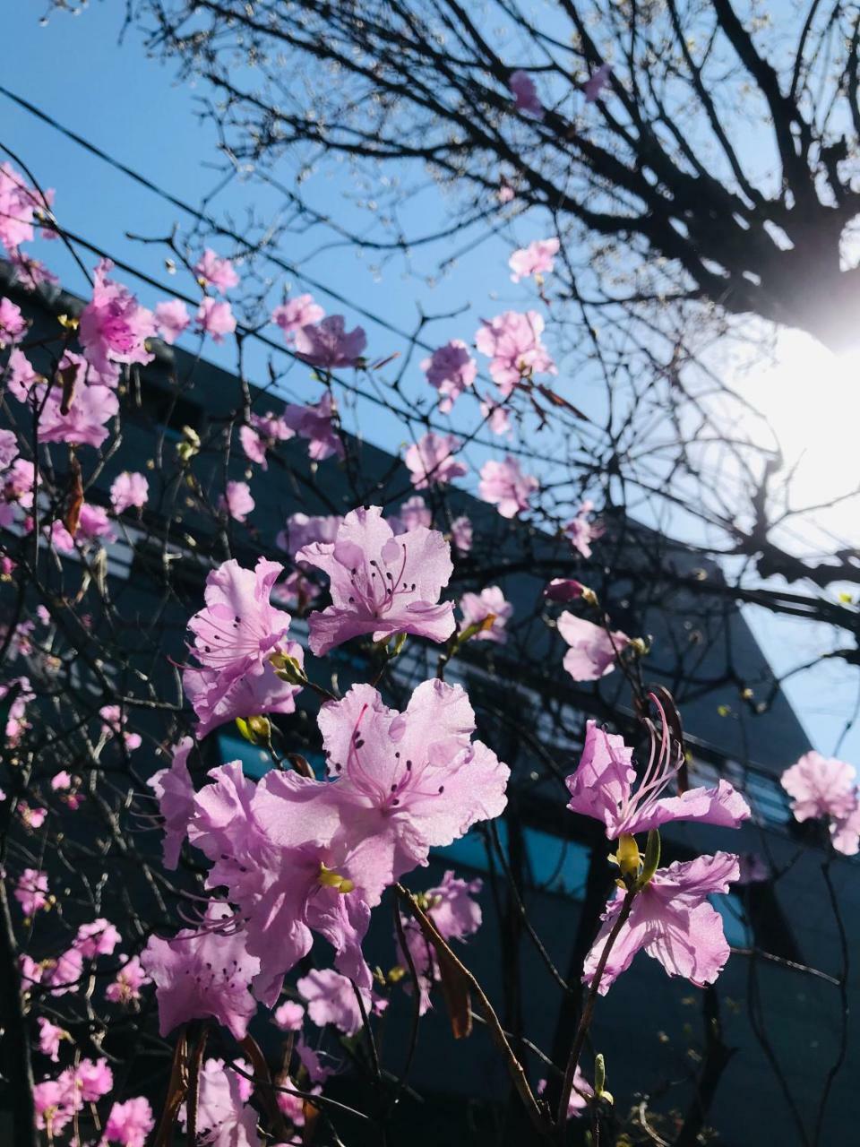 Naru Guesthouse โซล ภายนอก รูปภาพ