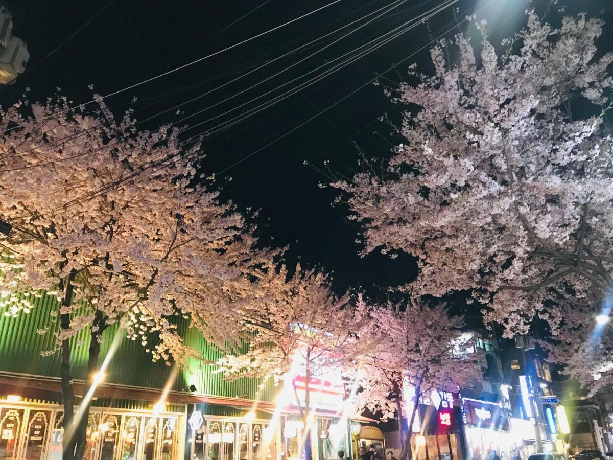 Naru Guesthouse โซล ภายนอก รูปภาพ
