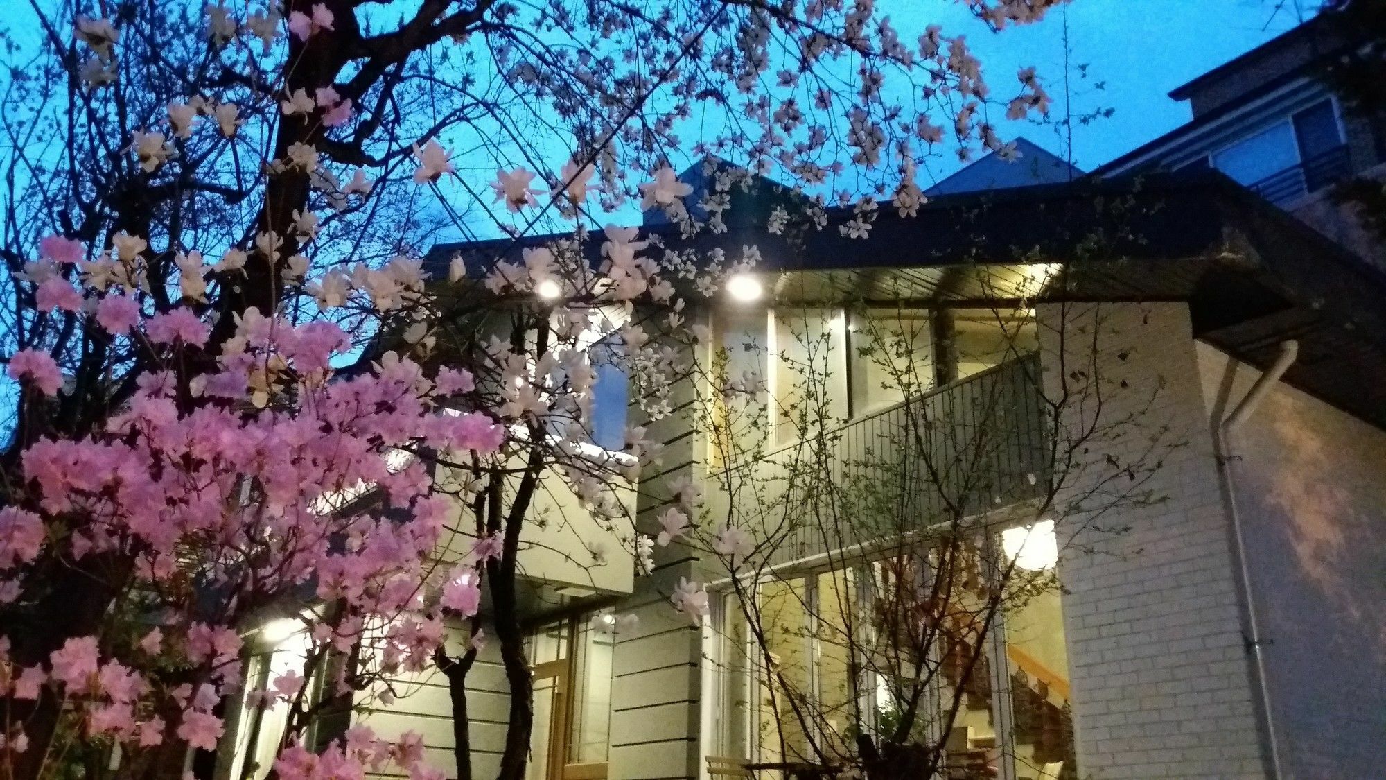 Naru Guesthouse โซล ภายนอก รูปภาพ